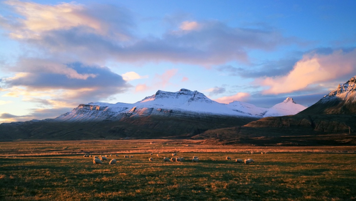 爱游戏部门-关于冰岛与法国战平：拼尽全力，奋勇一战无悔的信息